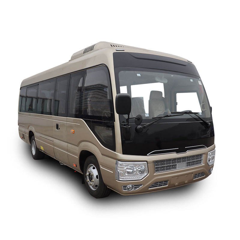 Longxing Diesel Brand New Bus for Passenger Transportation Rural